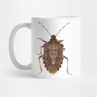 Brown marmorated stink bug Mug